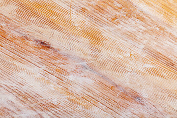 Wood wall background or texture. Natural pattern wood background