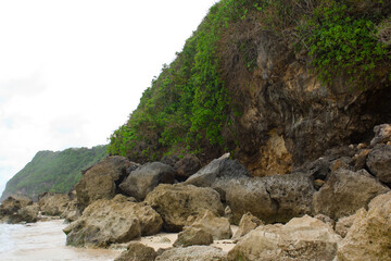 coral rocks and green hills in the beach area
