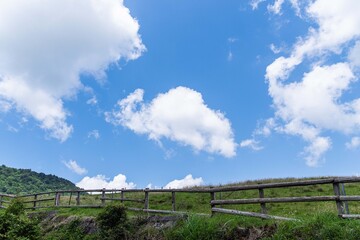 Obraz premium 高原の夏