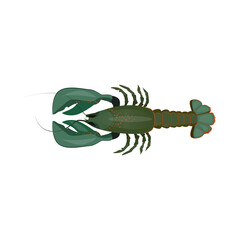 Green raw lobster illustration. Mollusc, ocean, seafood. Nature concept. illustration can be used for topics like sea animals, sea, restaurant, eating