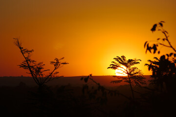 Fototapeta na wymiar Brazilian Sunset Very beautiful, the sunsets in brazilian savannah has many colors.