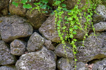 It is a traditional stone wall of Jeju Island in Korea