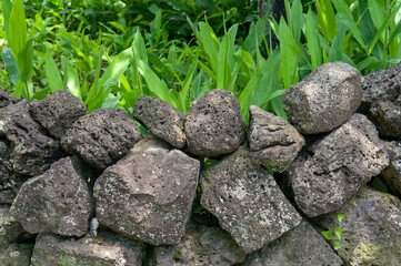 It is a traditional stone wall of Jeju Island in Korea