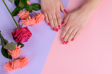 Pink nails and bunch of roses on bicolor background