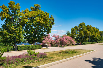 Embankment Of Samara.