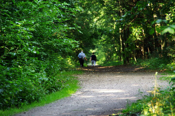 A seniors couple are walking along a forest path - active lifestyle of the elderly