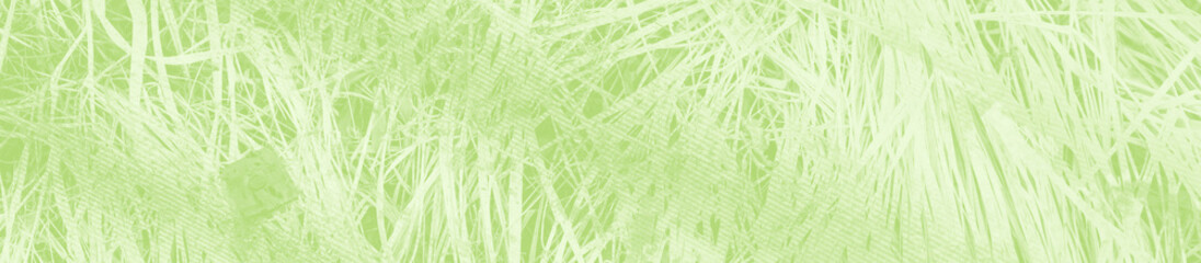 abstract light green background with copy space for design