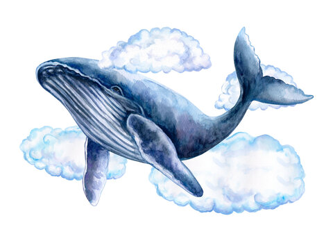 Blue whale in white clouds isolated on a white background. Watercolor. Illustration. Template. Close-up. Clipart. Greeting card design. Sea life, marine animals. Ocean day. Children's room, baby showe