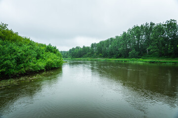Calm river with forest on the shore