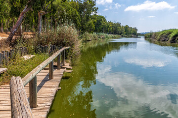 Fototapeta na wymiar Pier on the Alexander River in Israel with eucalyptus trees along the banks and the reflection of clouds in the water