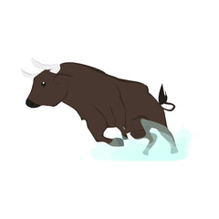 Bull Illustration
