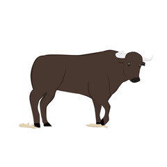 Bull Illustration