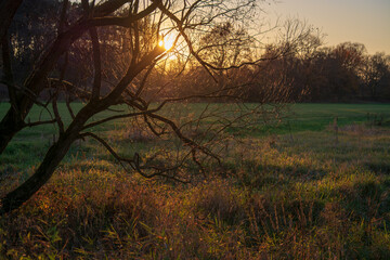 Abenddämmerung Pegnitzgrund Schwaig b. Nürnberg