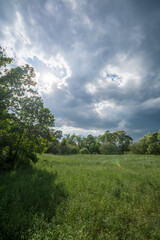 Obraz premium Sonne und Wolken Pegnitzgrund