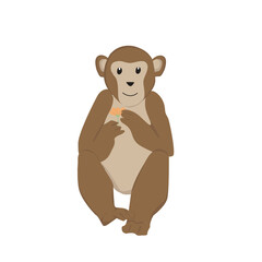 Monkey Illustration