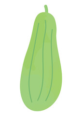 ヘチマのイラスト