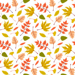 Seamless vector fall pattern with bright autumn leaves. Beautiful floral repeat pattern with colorful autumn leaves on white background