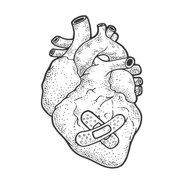 human heart patch sketch raster illustration