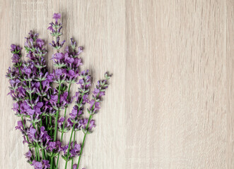 lavender flowers on a wooden background