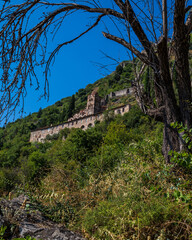 Greek architecture and flora filling the landscape