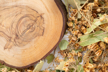 Linden plant on a wood background