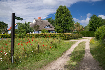 Kurze Straße in Born am Darss Mecklenburg Sommer