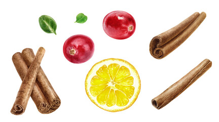Cinnamon sticks lemon slice and cranberries set watercolor illustration isolated on white background