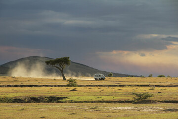 landscape in the wild in kenya