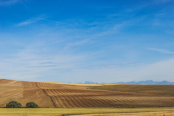 Fototapeta premium landscape with field and blue sky. geometry on the field