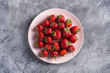 Fresh ripe strawberry fruits in pink plate, summer vitamin berries on grey stone background, top view