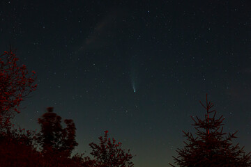Picture of comet Neowise taken from Feldberg summit in Germany on 23. July 2020