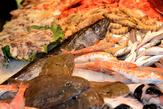  Mercat de la Boqueria in Barcelona, Spaniens berühmter, lebhafter öffentlicher Markt, der keine Wünsche offen läßt.Im Angebot Fleisch, Fisch, Obst, Gemüse und andere Lebensmittel
