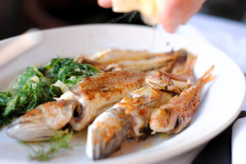 Gegrillter Fisch 
