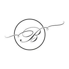 Calligraphic, black script letter b
