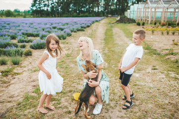 Beautiful happy family is having fun with mongrel dog puppy outdoors.