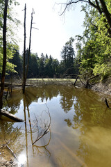 Kloppbruchweiher bei Nonnweiler