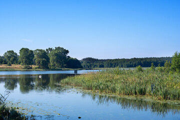Nature reserve, masurian province, Poland.
