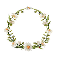 watercolor wreath with chamomile
