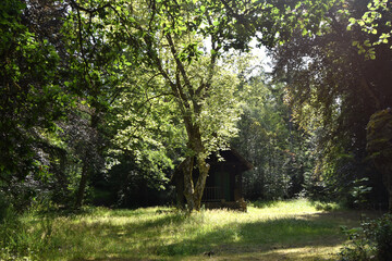 Hütte bei Otzenhausen