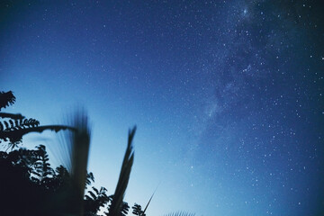 Milky Way stars photographed with long exposure and wide angle lens. My astronomy work.