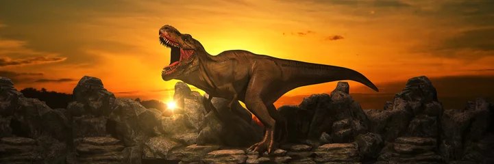 Rolgordijnen Dinosaurus Dinosaurussen op rotsberg bij zonsondergang. 3D-rendering