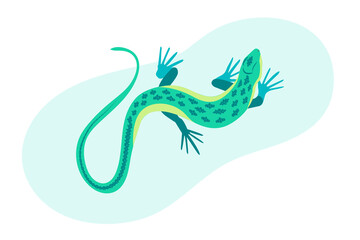 Blue lizard vector illustration. Reptile with long body and tail, four legs and blue skin. Design for poster, web site.