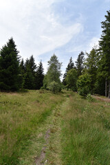 Fototapeta na wymiar Wanderweg Dollbergschleife