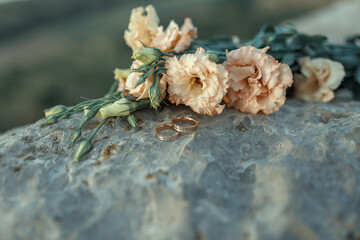 yellow rose on the ground