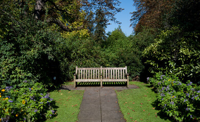 bench in the park