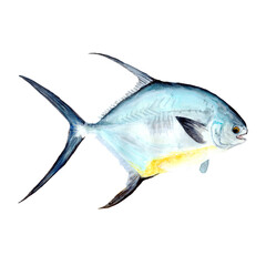 Marine Fish Watercolor painting isolated. Watercolor hand painted cute fish illustrations.