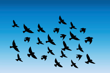 Vector silhouette of a flock of birds. Illustration of a flight of pigeons in the sky. Pattern of black geese.