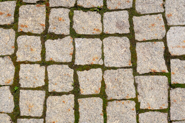 Background image. Sidewalk with old pavement and some moss and plants.