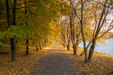 Fototapeta na wymiar Park alley with couple in golden autumn season.