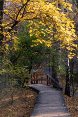 Wooden walk way in autumn park